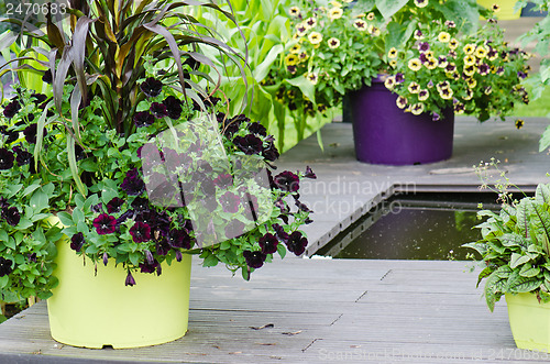 Image of Large plant pots with flowers in the garden, close-up  
