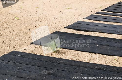 Image of Path in a garden, a close up