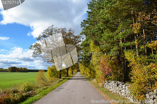 Image of Swedish country road