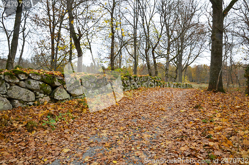 Image of The old road