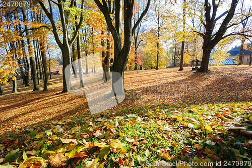 Image of Autumn morning with sun and shadows in park