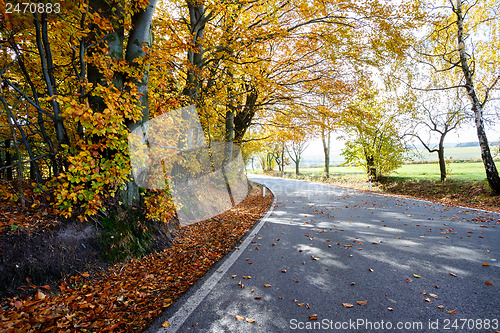 Image of rural Road in the autumn with yellow trees