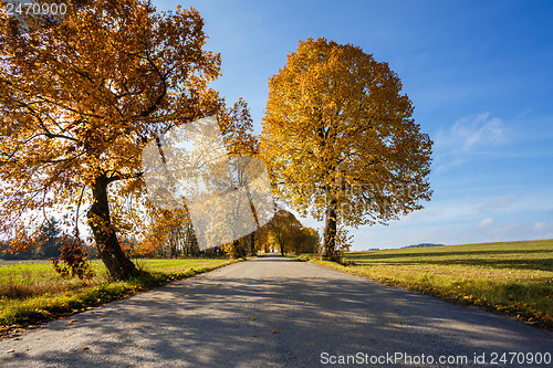 Image of rural Road in the autumn with yellow trees