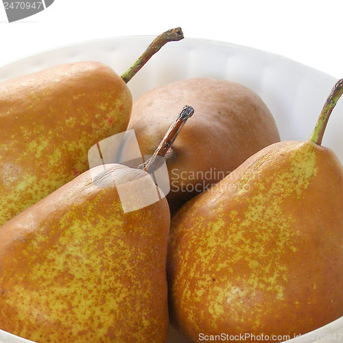 Image of Pear picture