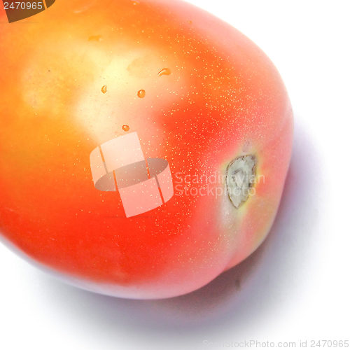 Image of no caption