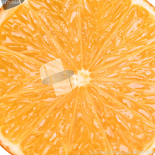 Image of Orange