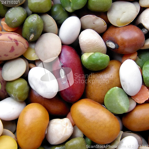 Image of Beans salad