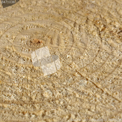 Image of Wood rings