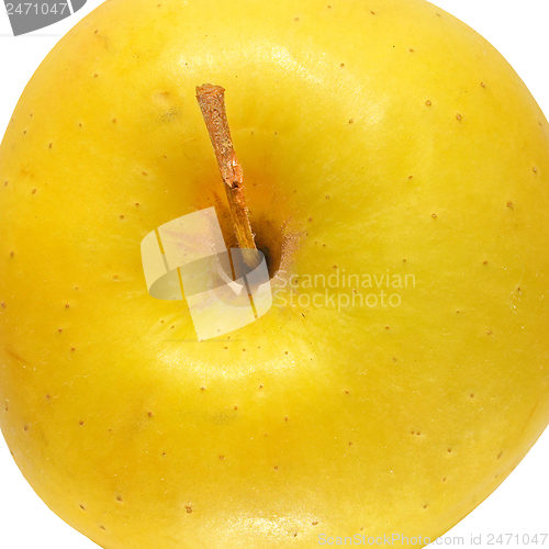 Image of Yellow Apple