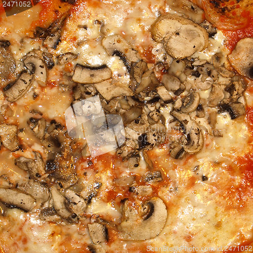 Image of Mushroom Pizza