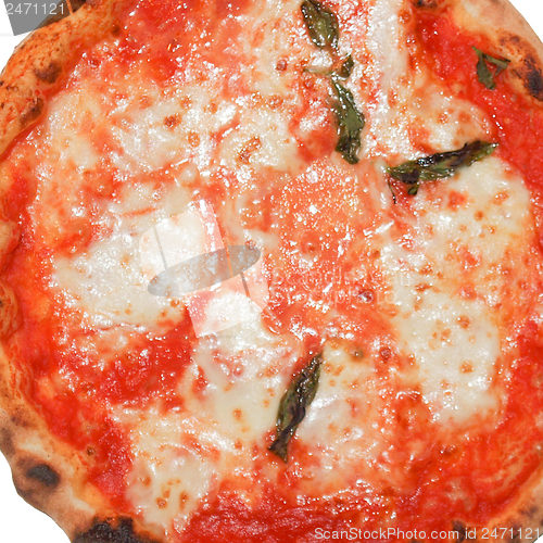 Image of Pizza Margherita