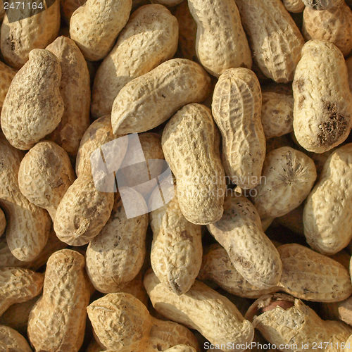 Image of Peanuts picture