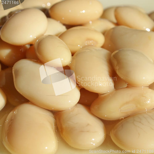 Image of Beans salad