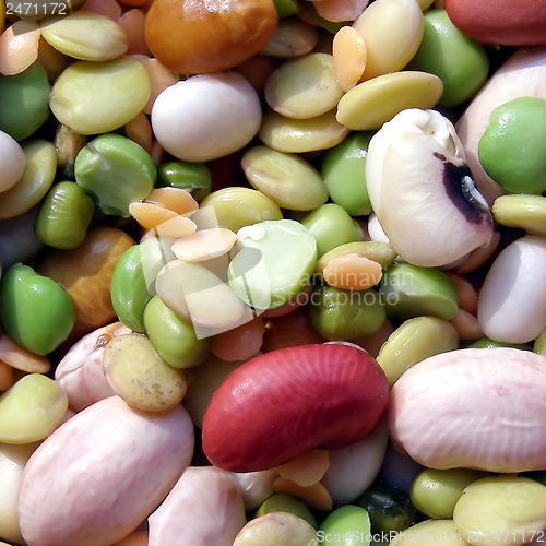 Image of Beans salad