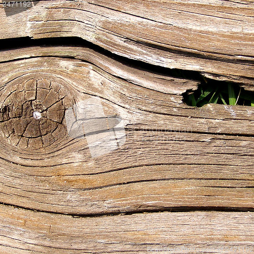 Image of Wood picture