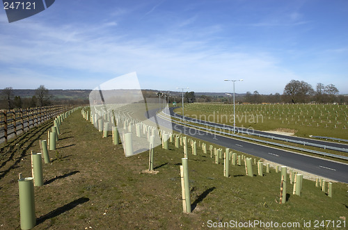 Image of New Road