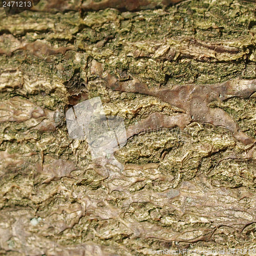 Image of Wood picture