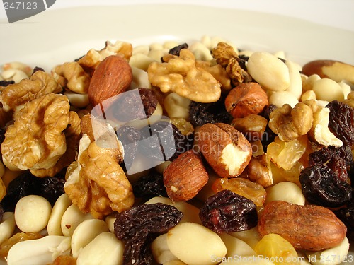 Image of Nuts