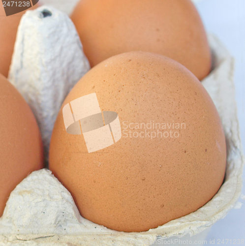 Image of Eggs picture