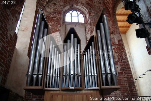 Image of Organ