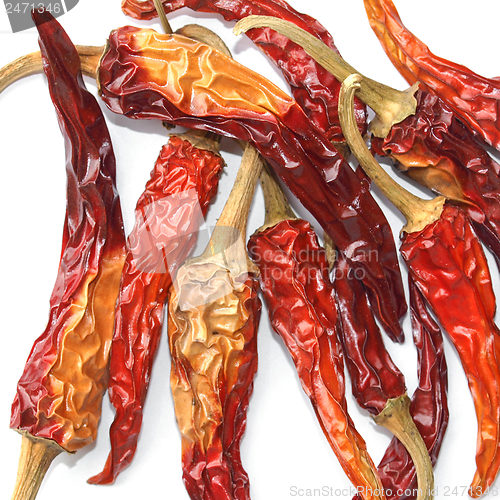 Image of Hot Peppers