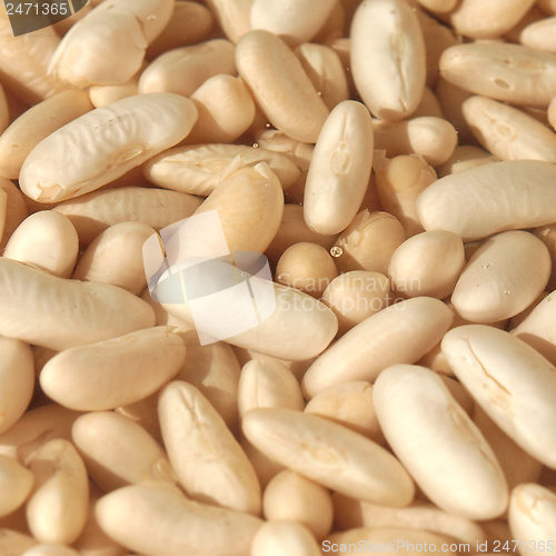 Image of Beans salad