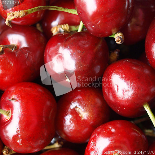 Image of Cherry