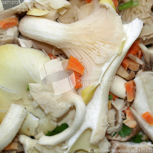 Image of Mushrooms picture