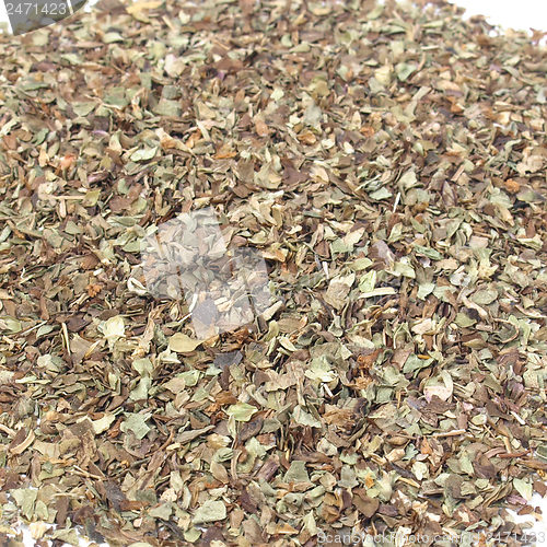 Image of Oregano spice