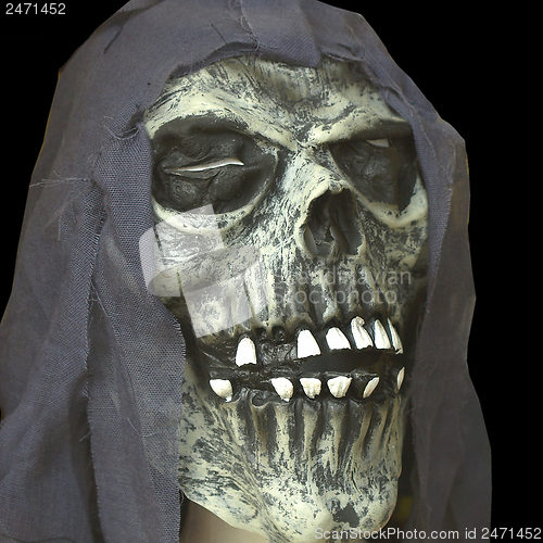 Image of Halloween skull