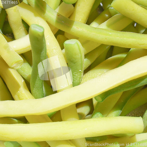 Image of Common bean