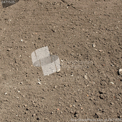 Image of Soil picture