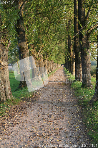 Image of Alley
