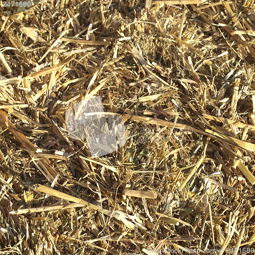 Image of Straw picture