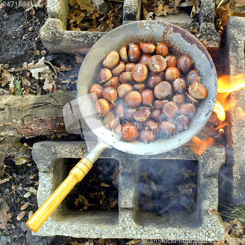 Image of Barbecue picture