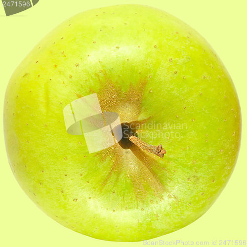 Image of Fruit collage