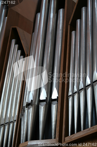 Image of Organ
