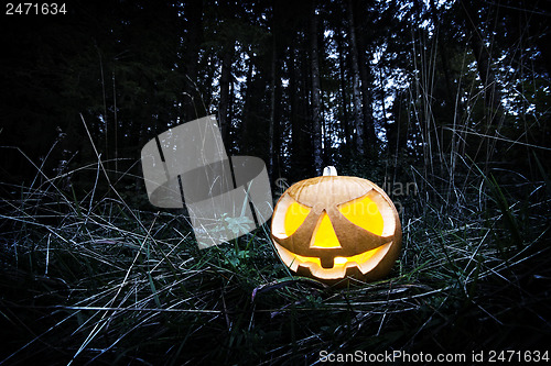 Image of Halloween pumpkin