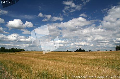 Image of Landscape