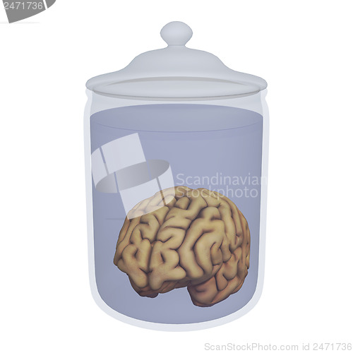 Image of Human Brain in a Jar
