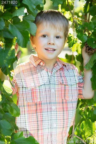 Image of Little smiling boy