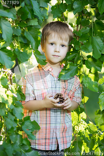 Image of Nice little boy