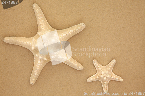 Image of Sea Stars