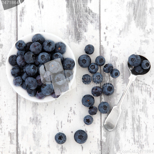 Image of Blueberry Fruit