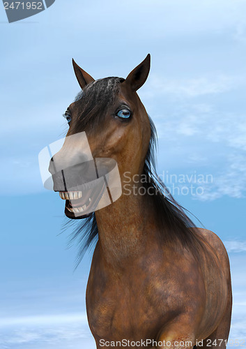 Image of Happy Horse