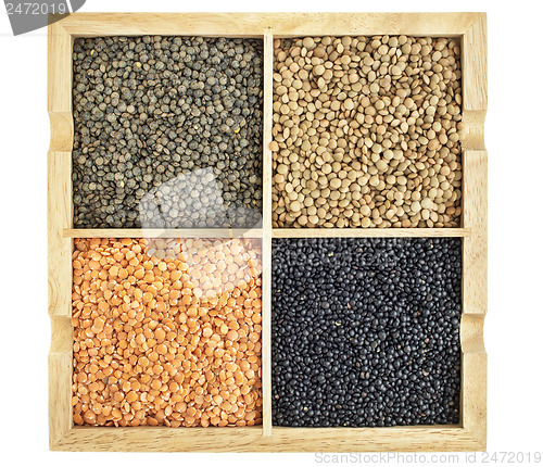 Image of red, green, black and French lentils