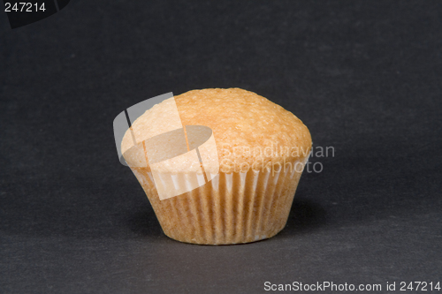 Image of Muffin