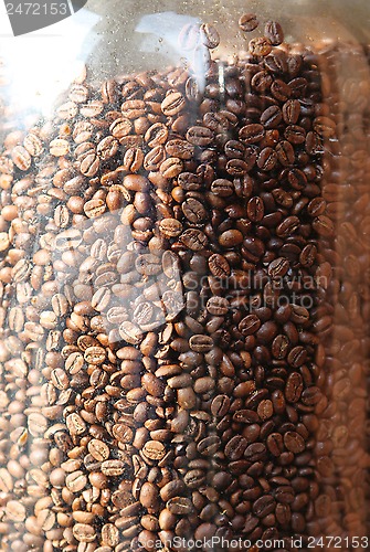 Image of coffee beans