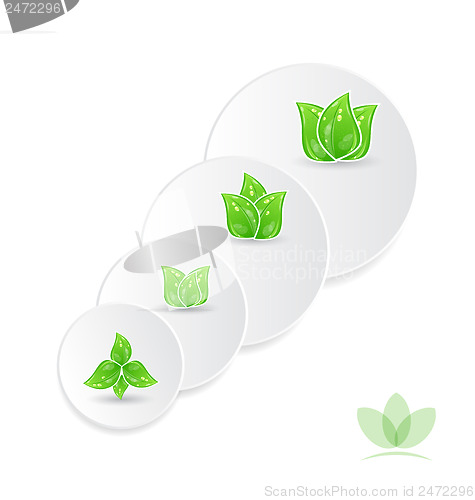 Image of Set modern business circles with infographic leaves