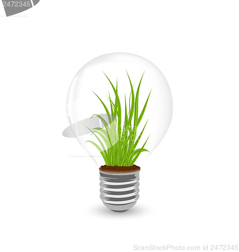 Image of Lamp with grass inside isolated on white background
